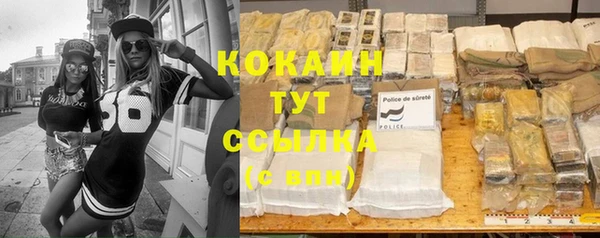 дживик Коряжма